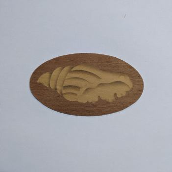 Design 5 oval shell inlay